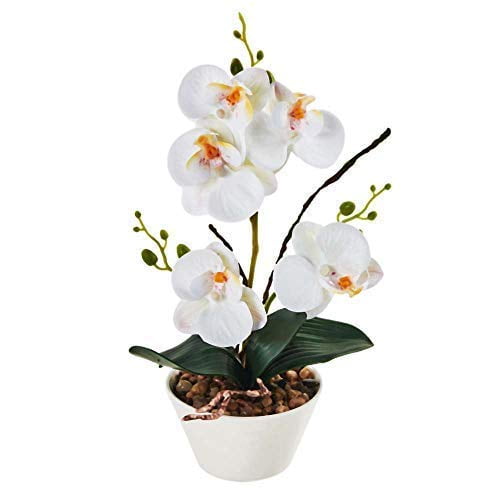 Imiee Silk Flowers with Pot 31cm in Height Artificial Orchid Phalaenopsis Arrangement Flower Bonsai with Vase for Room Table Centerpieces-H:12” Imiee Silk Flowers with Pot 31cm in Height Artificial Orchid Phalaenopsis Arrangement Flower Bonsai with Vase for Room Table Centerpieces-H:12”